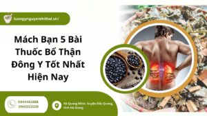 Bài thuốc bổ thận