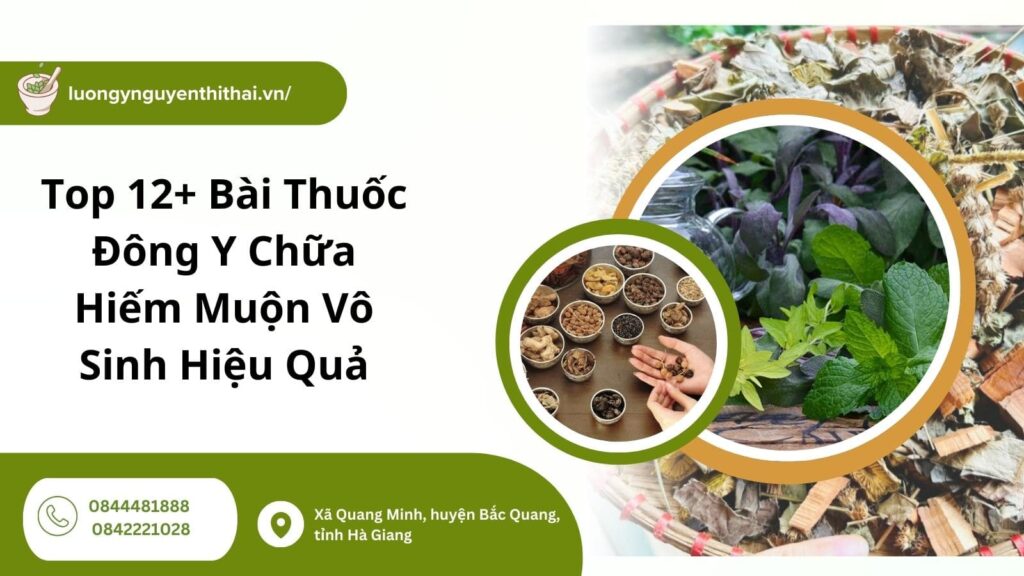 Bài thuốc Đông y chữa hiếm muộn