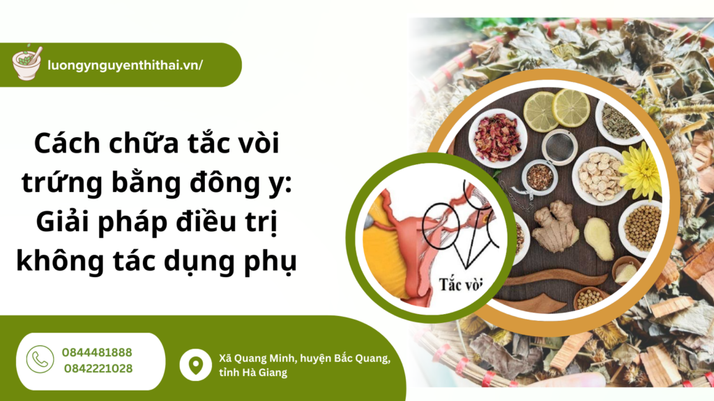 cách chữa tắc vòi trứng bằng Đông y
