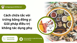 cách chữa tắc vòi trứng bằng Đông y