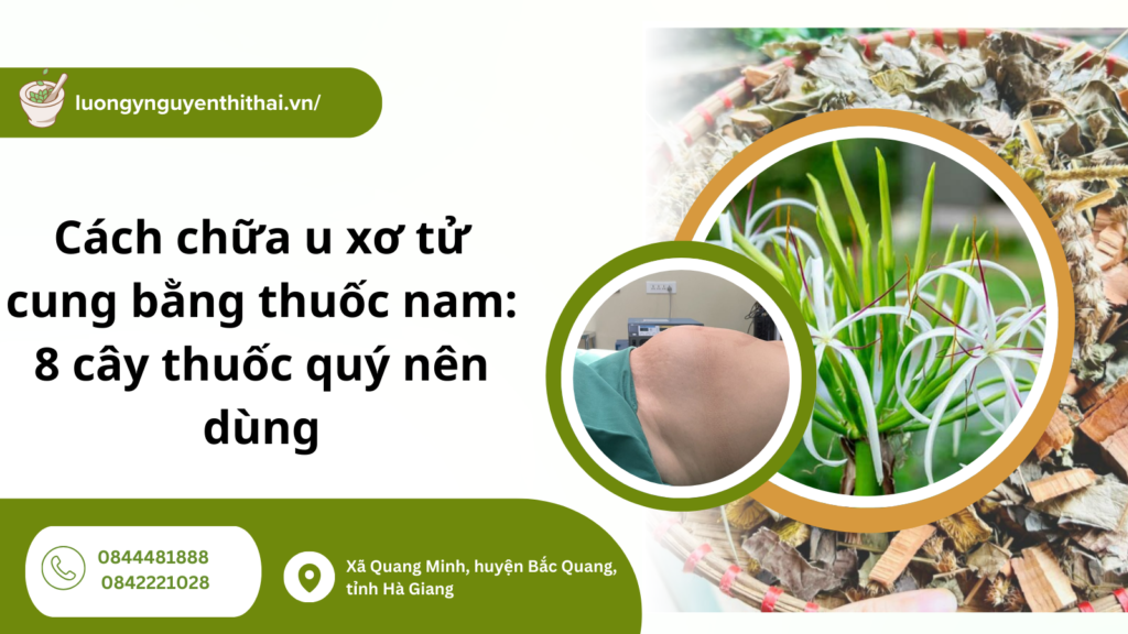 Cách chữa u xơ tử cung bằng thuốc nam