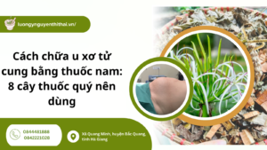 Cách chữa u xơ tử cung bằng thuốc nam