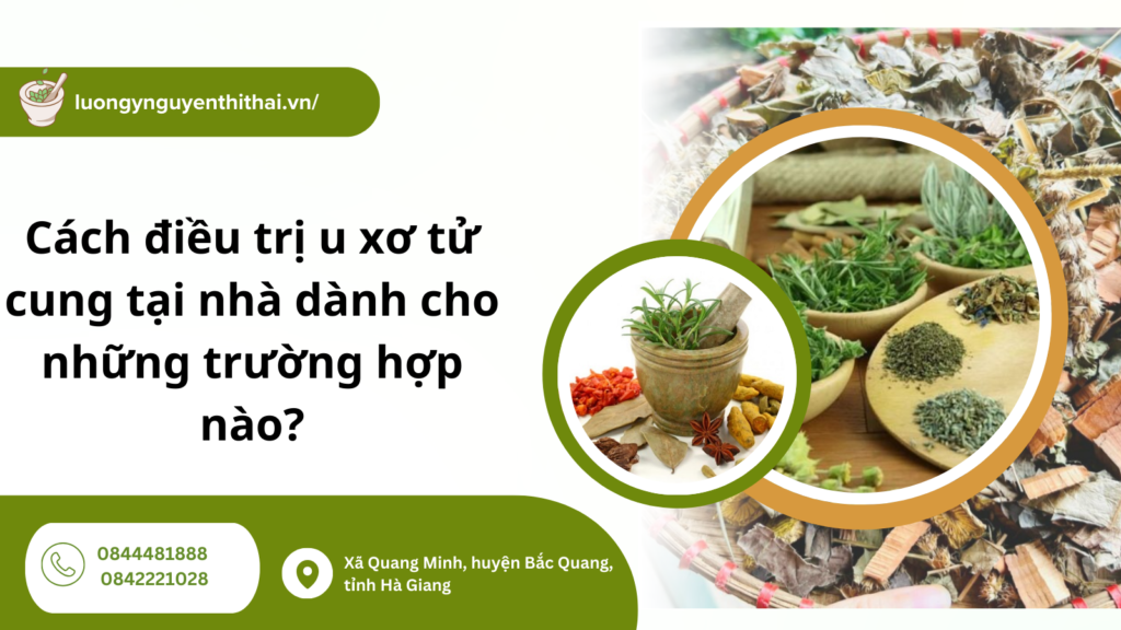cách điều trị u xơ tử cung tại nhà