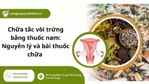 chữa tắc vòi trứng bằng thuốc nam