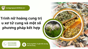 trinh nữ hoàng cung trị u xơ tử cung