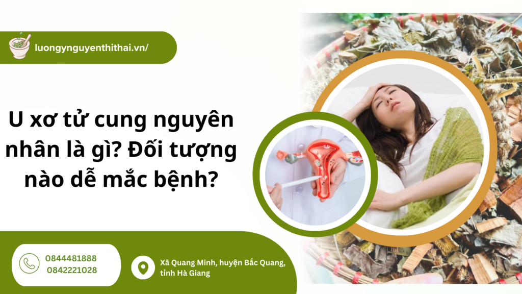u xơ tử cung nguyên nhân