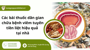 bài thuốc dân gian chữa bệnh viêm tuyến tiền liệt