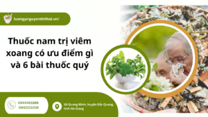 thuốc nam trị viêm xoang