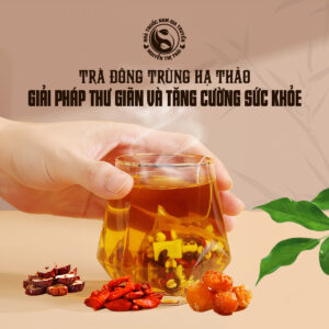 Công dụng của trà đông trùng hạ thảo đối với nâng cao sức khỏe tự nhiên