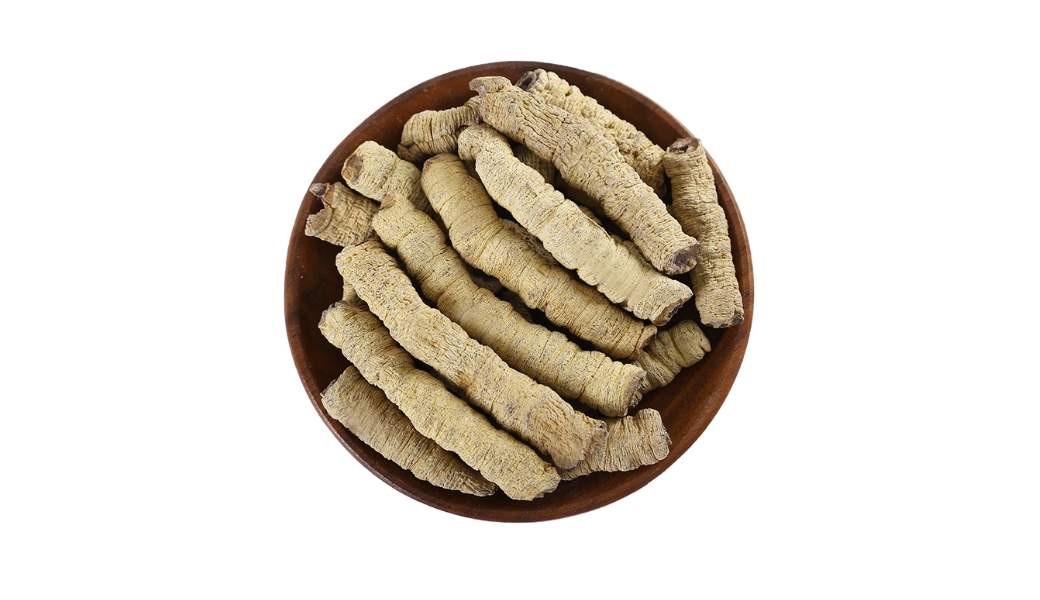Ba kích được sử dụng để tăng cường sức khỏe, cải thiện chức năng tình dục