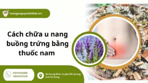 Cách chữa u nang buồng trứng bằng thuốc nam đơn giản, hiệu quả cao