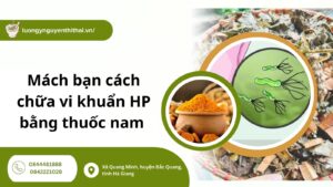 Mách bạn cách chữa vi khuẩn HP bằng thuốc nam hiệu quả