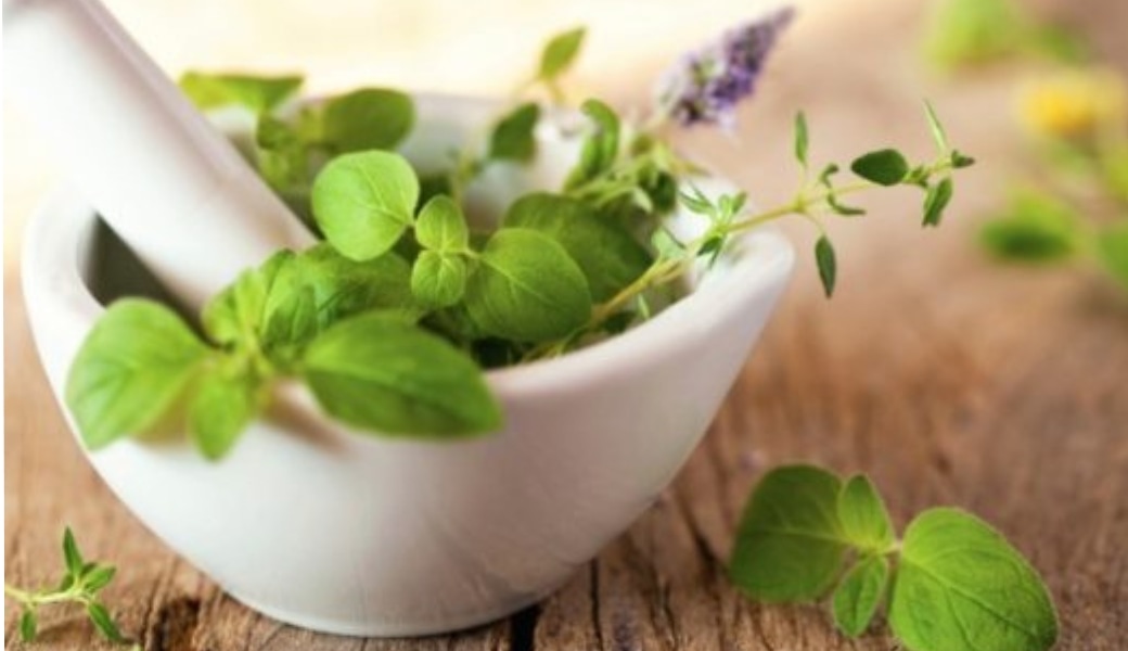 Thuốc nam chữa ung thư gan có thật sự hiệu quả?