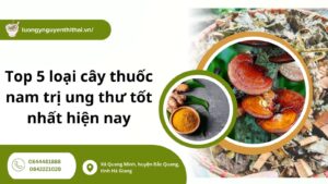Top 5 loại cây thuốc nam trị ung thư tốt nhất hiện nay
