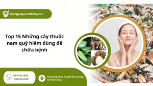 Top 15 Những cây thuốc nam quý hiếm dùng để chữa bệnh