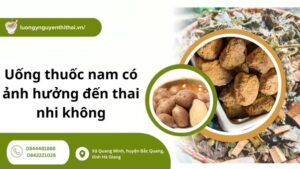 Uống thuốc nam có ảnh hưởng đến thai nhi không?