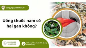 Uống thuốc nam có hại gan không? Dấu hiệu nhận biết