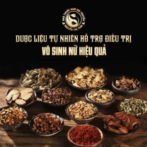 "Dược liệu tự nhiên hỗ trợ điều trị vô sinh nữ hiệu quả."