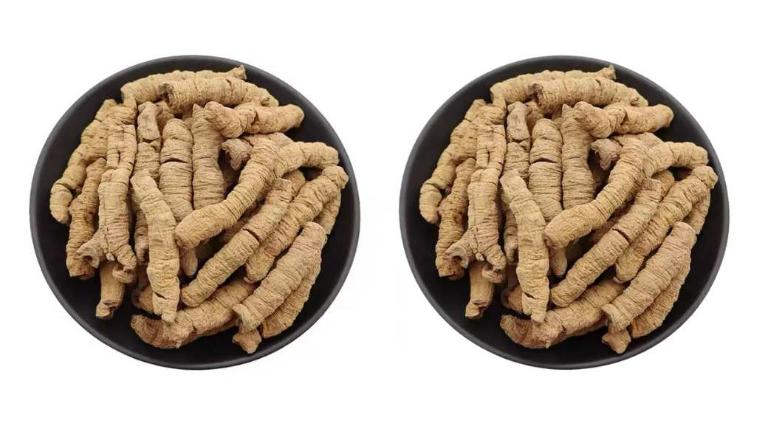 Ba kích được sử dụng trong các bài thuốc điều trị liệt dương, di tinh, mộng tinh