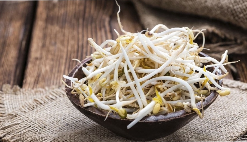 Bài thuốc Đông y trị tiểu đêm từ giá đỗ