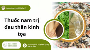 Bật mí 7 Bài thuốc nam trị đau thần kinh tọa lành tính, hiệu quả