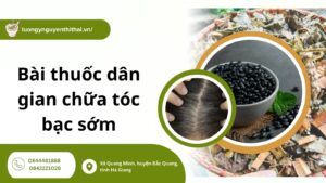 Bật mí bài thuốc dân gian chữa tóc bạc sớm hiệu quả tại nhà