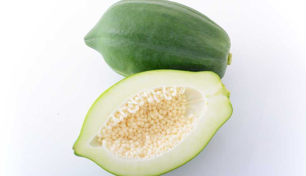 Chọn quả đu đủ còn non, hạt có màu trắng để điều trị sỏi mật