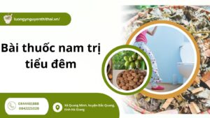Gợi ý 7+ bài thuốc nam trị tiểu đêm an toàn, hiệu quả tại nhà
