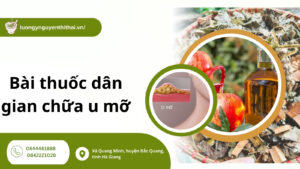 Mách bạn 5 bài thuốc dân gian chữa u mỡ theo Đông y