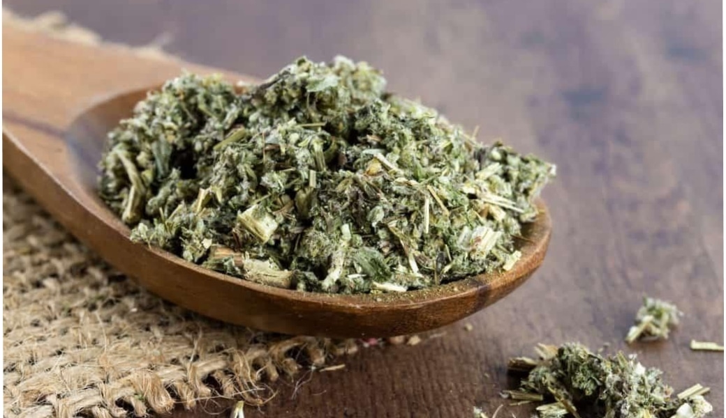 Ngải cứu - thuốc nam trị thoái hóa đốt sống cổ hiệu quả