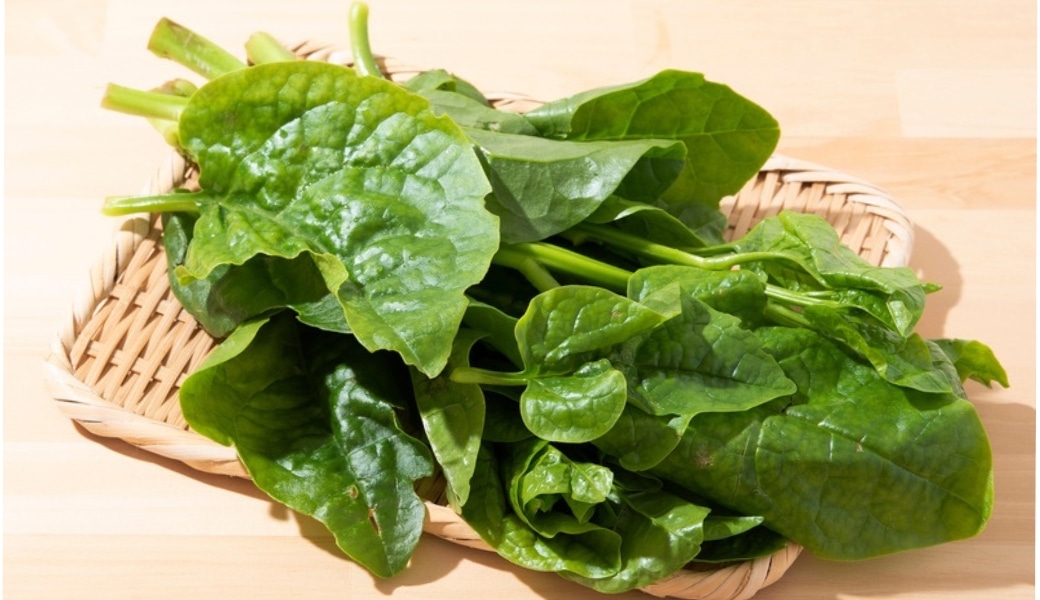 Rau mồng tơi giúp thanh nhiệt và lợi tiểu