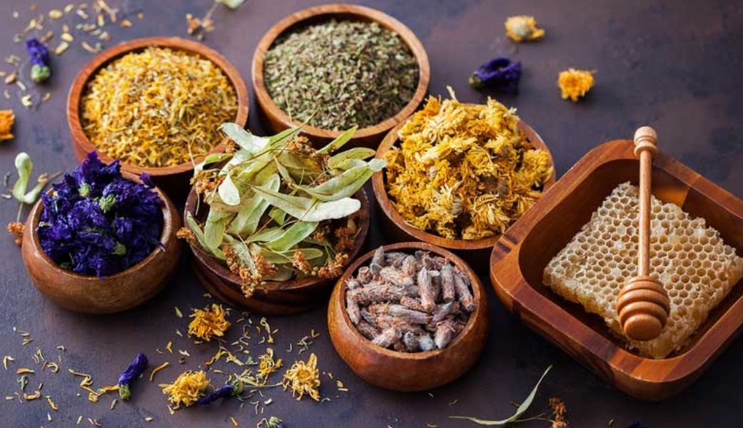 Thuốc nam chữa sỏi thận tốt nhất