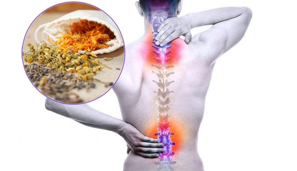 Thuốc nam trị thoái hóa đốt sống cổ có thật sự hiệu quả?