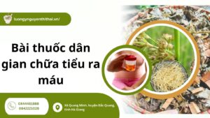 Tổng hợp 8 Bài thuốc dân gian chữa tiểu ra máu hiệu quả nhất