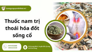 Tổng hợp cây thuốc nam trị thoái hóa đốt sống cổ lành tính, hiệu quả