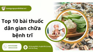 TOP 10 Bài thuốc dân gian chữa bệnh trĩ đơn giản, dễ thực hiện