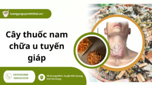 Top 9+ cây thuốc nam chữa u tuyến giáp phổ biến nhất hiện nay