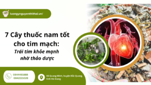 Cay-thuoc-nam-tot-cho-tim-mach