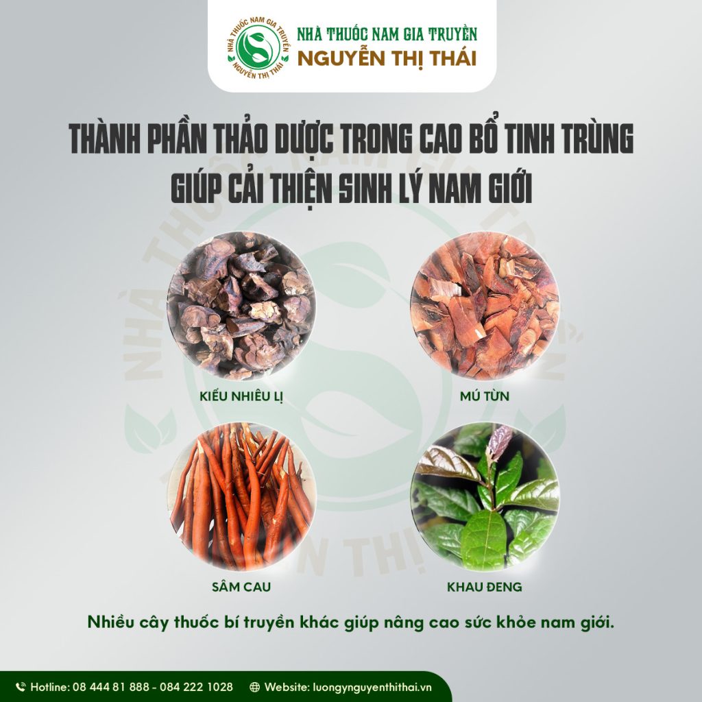 Thành phần thảo dược trong Cao Bổ Tinh Trùng giúp cải thiện sinh lý nam giới.