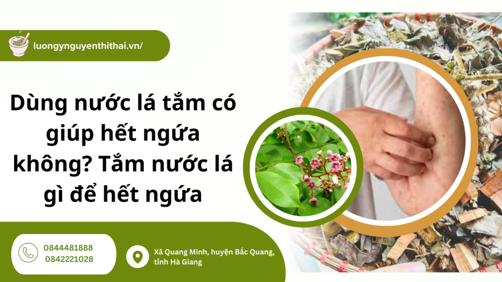 tắm nước lá gì để hết ngứa