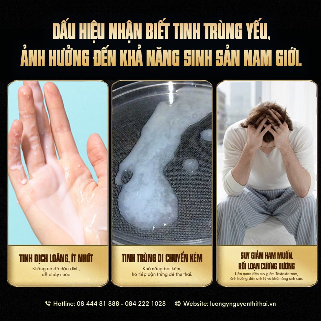 "Dấu hiệu nhận biết tinh trùng yếu, ảnh hưởng đến khả năng sinh sản nam giới."