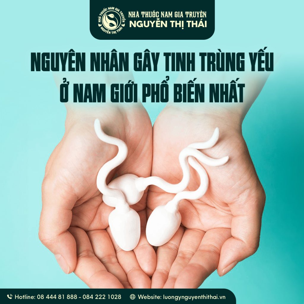 "Nguyên nhân gây tinh trùng yếu ở nam giới phổ biến nhất."