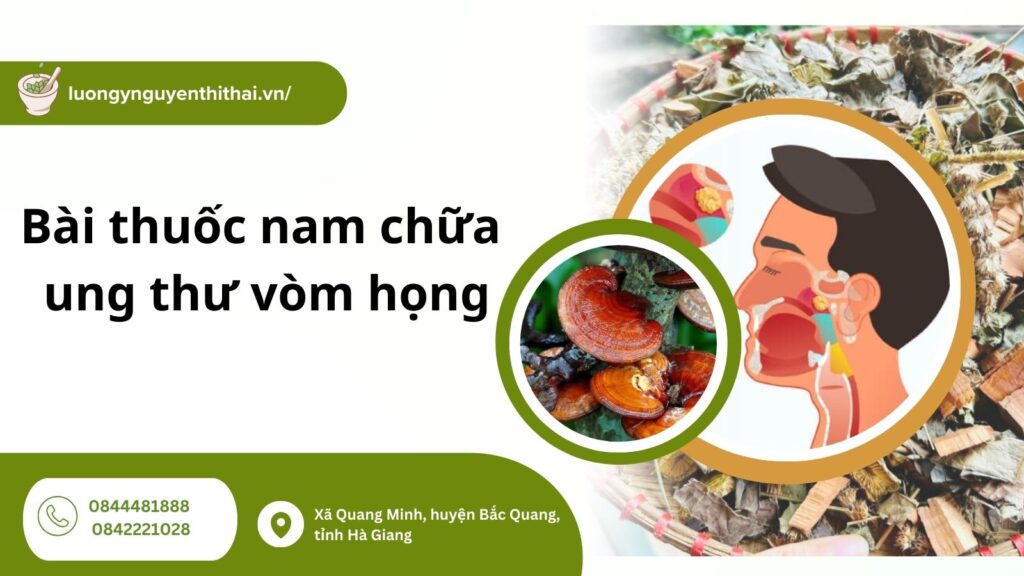 bai-thuoc-nam-chua-ung-thu-vom-hong