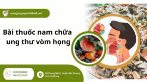 bai-thuoc-nam-chua-ung-thu-vom-hong