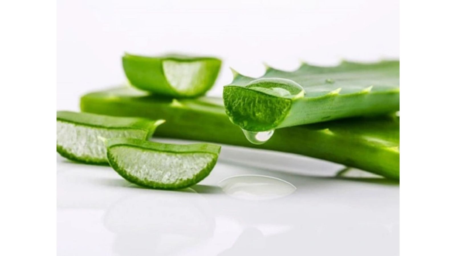 bai-thuoc-nam-tri-ung-thu-xuong