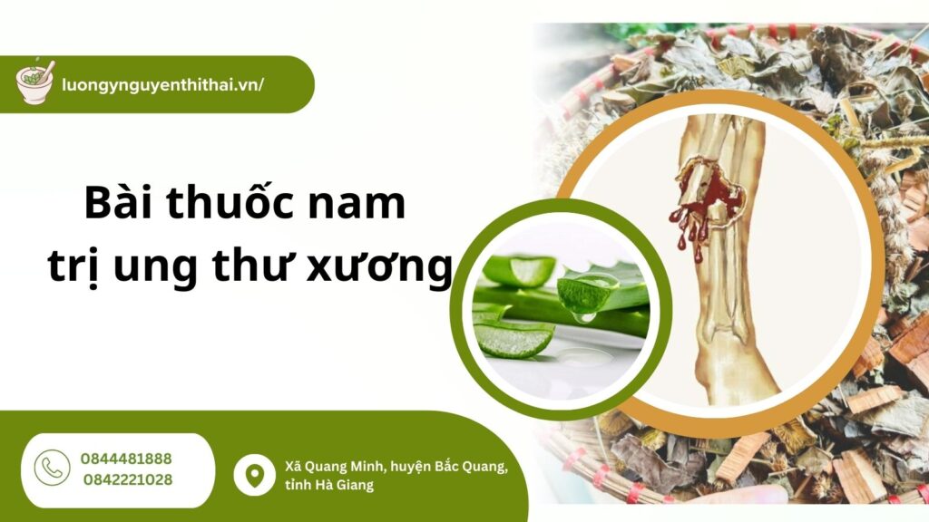 bai-thuoc-nam-tri-ung-thu-xuong