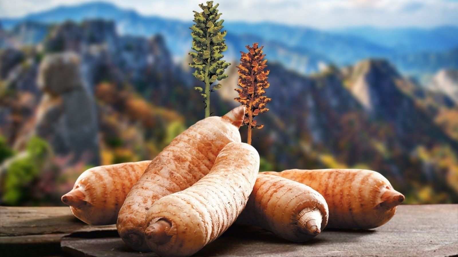 chua-benh-run-tay-bang-thuoc-nam