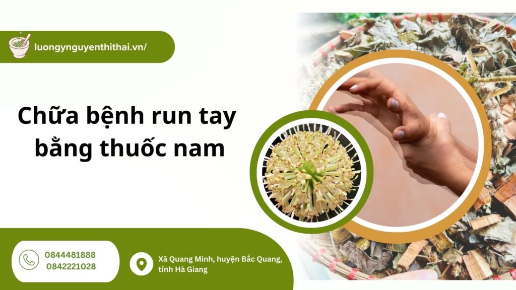 chua-benh-run-tay-bang-thuoc-nam