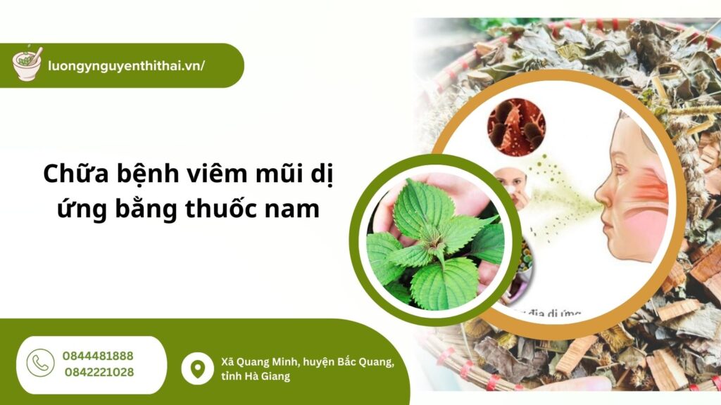 chua-benh-viem-mui-di-ung-bang-thuoc-nam