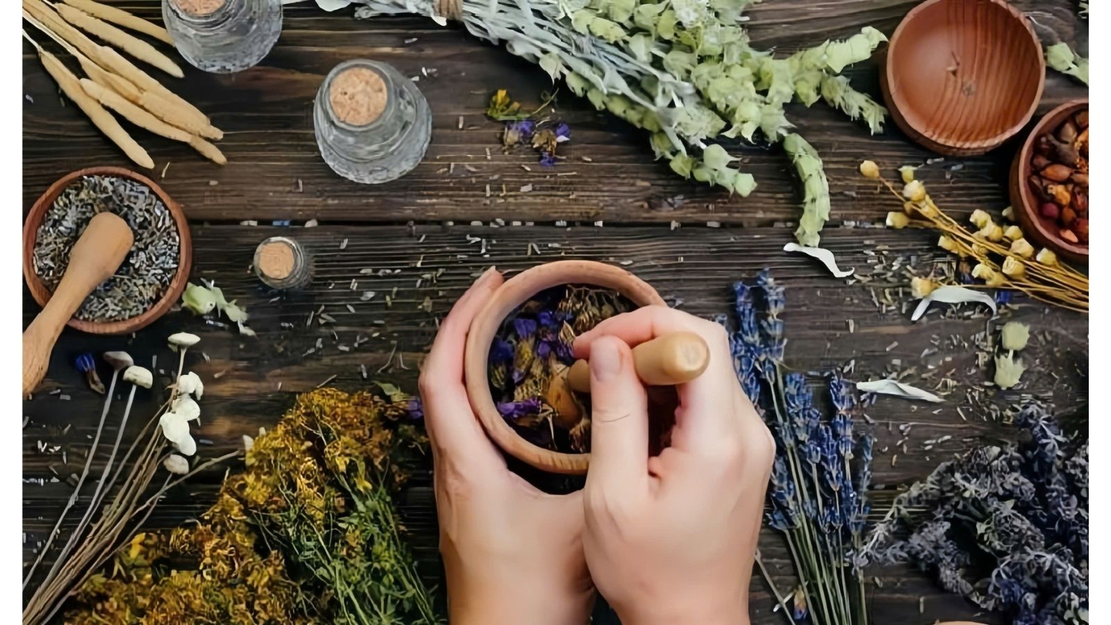 chua-ung-thu-thuc-quan-bang-thuoc-nam